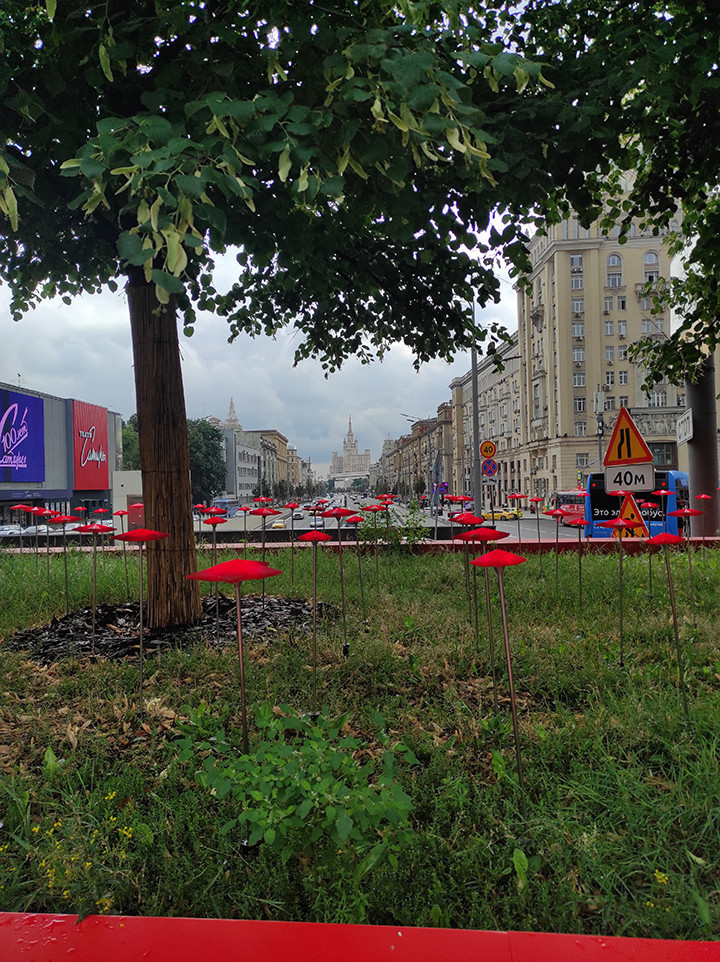 Buğday başaklarından göğe yükselen şehir (1) Rusya’nın kalbinden merhaba... - Resim : 7