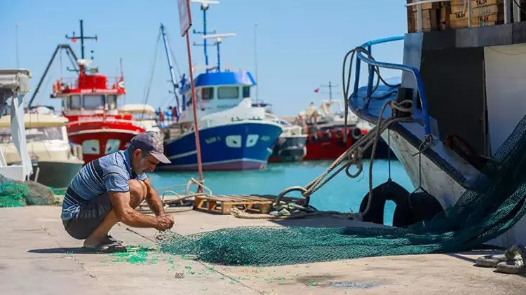 Sayıştay’dan Bakanlığa mera denetimi! Kaynaklar atıl, gelirler amaç dışı kullanılmış - Resim : 1
