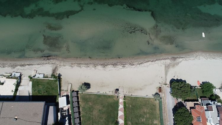 Türkiye'deki denizler alarm veriyor! ODTÜ'den uyarı - Resim: 4