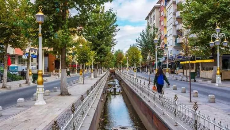 Zirvedeki il şaşırttı! Herkes kendi memleketinde yaşasaydı... - Resim: 44