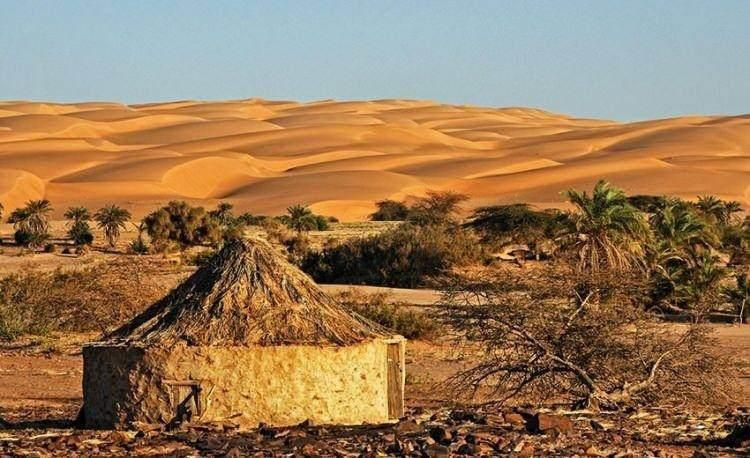 Dünyada en çok at eti tüketilen ülkeler açıklandı! İlk sırayı kimseye kaptırmadılar - Resim: 35