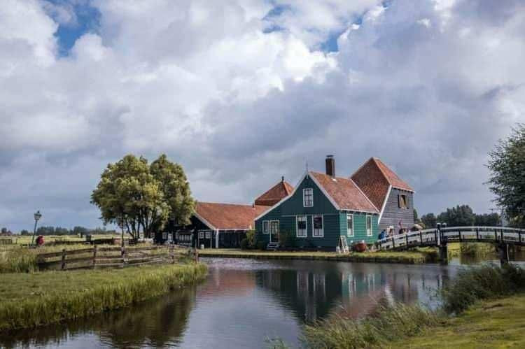 Dünyada en çok at eti tüketilen ülkeler açıklandı! İlk sırayı kimseye kaptırmadılar - Resim: 5