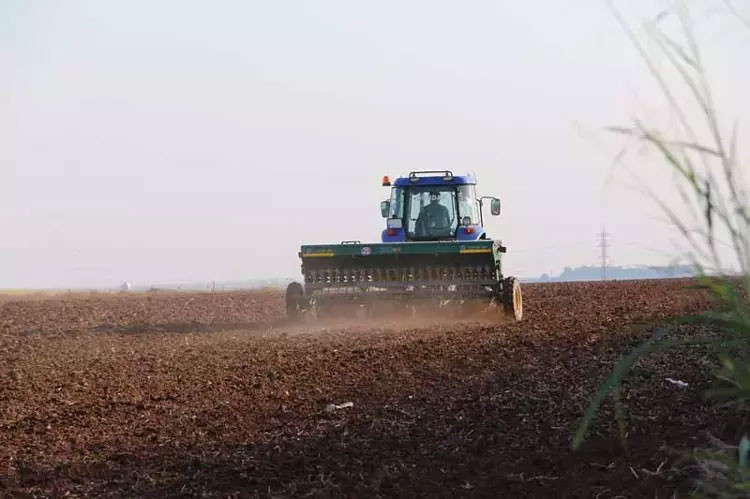 Mardin'de 3 milyon dönüm alana ekildi! 'Dünyanın en kalitelisini üretiyoruz' - Resim : 2