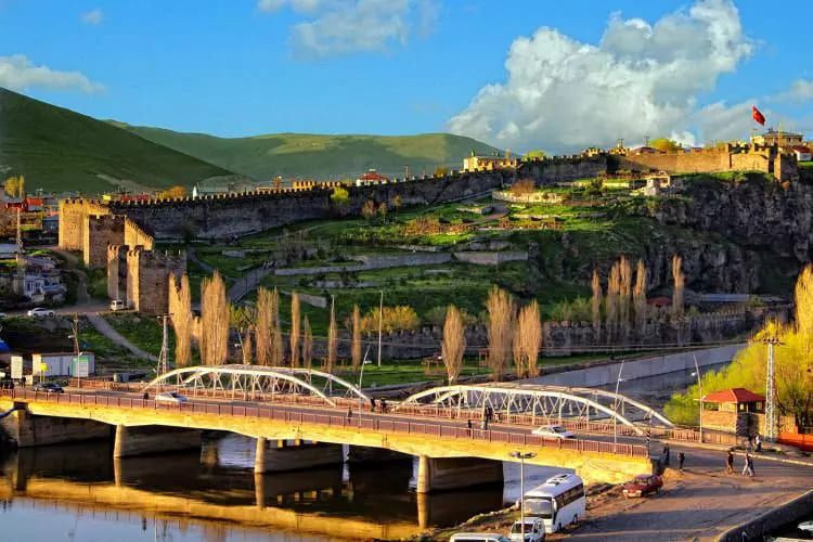 Zirvedeki il şaşırttı! Herkes kendi memleketinde yaşasaydı... - Resim: 75