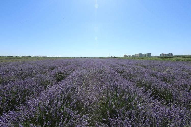 Türkiye’nin en güzel ilçeleri seçildi! Şehirlerin gözdeleri belirlendi - Resim: 63