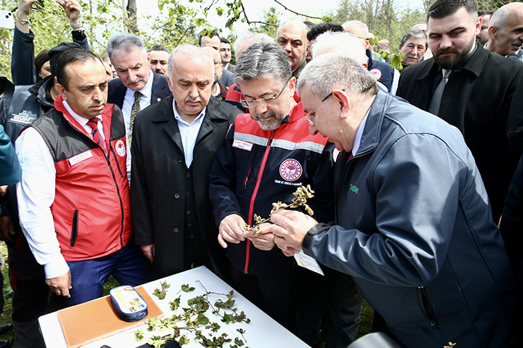 Bakan açıkladı: Tarihin en büyük don olaylarından biri! - Resim : 1