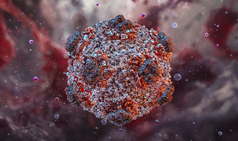 Andes Hantavirüsüne karşı mRNA aşıları koruma sağladı - Resim : 1