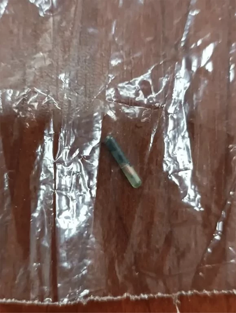 Halka at yediren firma Süleymancı çıktı - Resim : 4