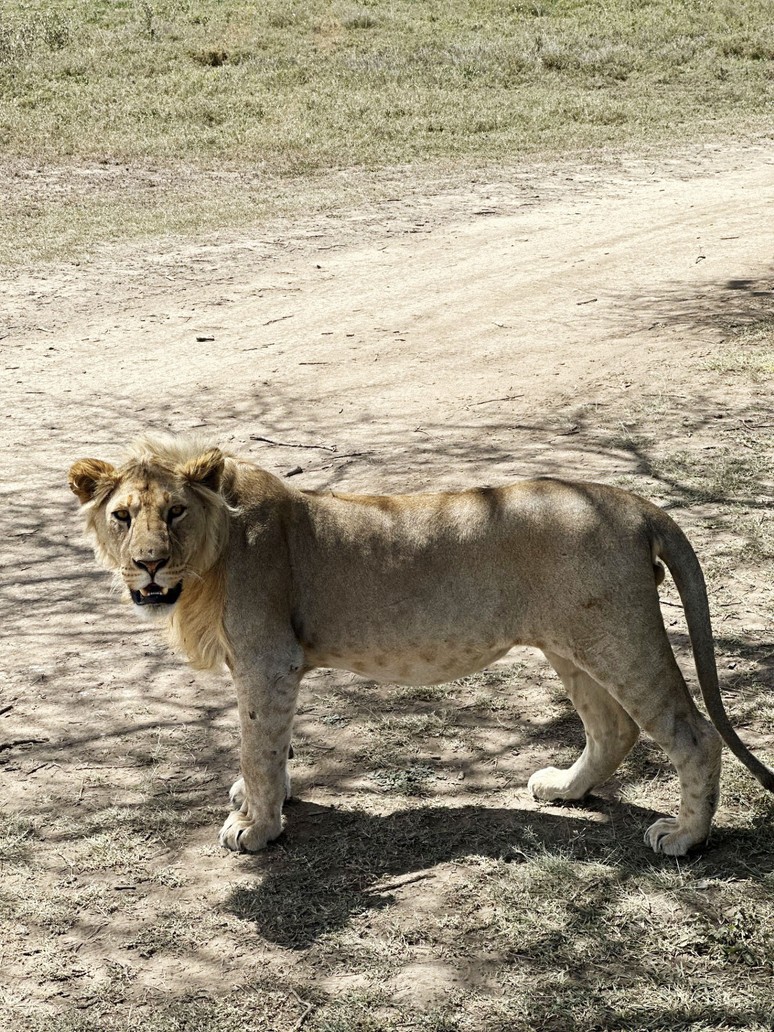 Toprağın sonsuza kadar aktığı yer: Serengeti - Resim : 6