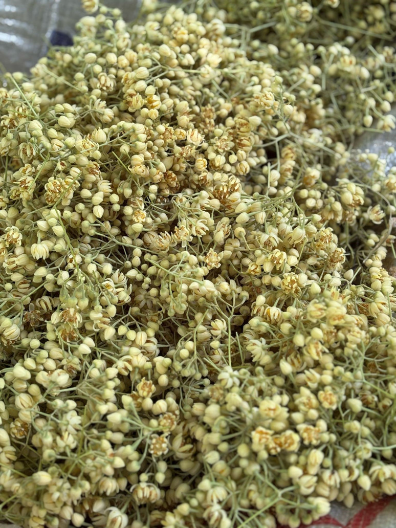 Balıkesir’de üretiliyor! Kilosu 1500 TL’den satılıyor - Resim : 1