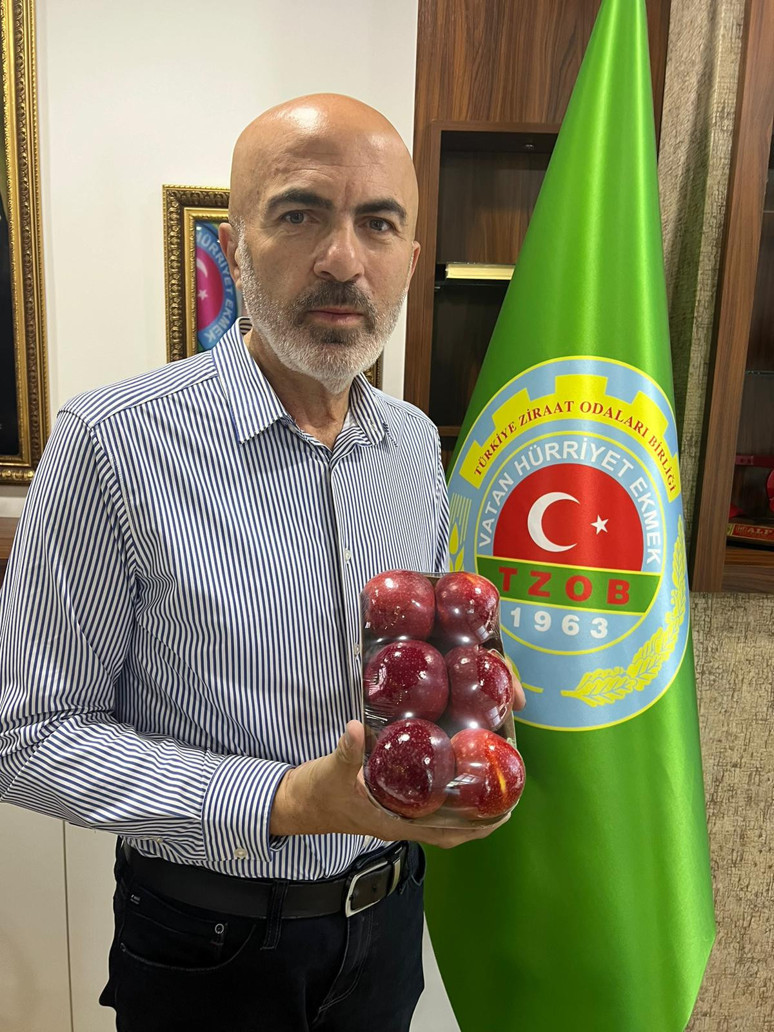 Elma dalında 45 lira oldu - Resim : 1