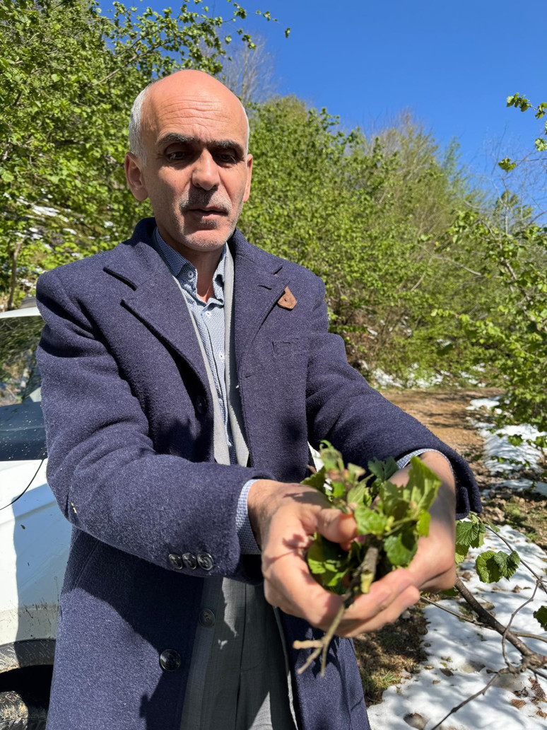 Üretici fındık alım fiyatlarını beğenmedi: Fiyatı biz belirleyeceğiz - Resim : 2