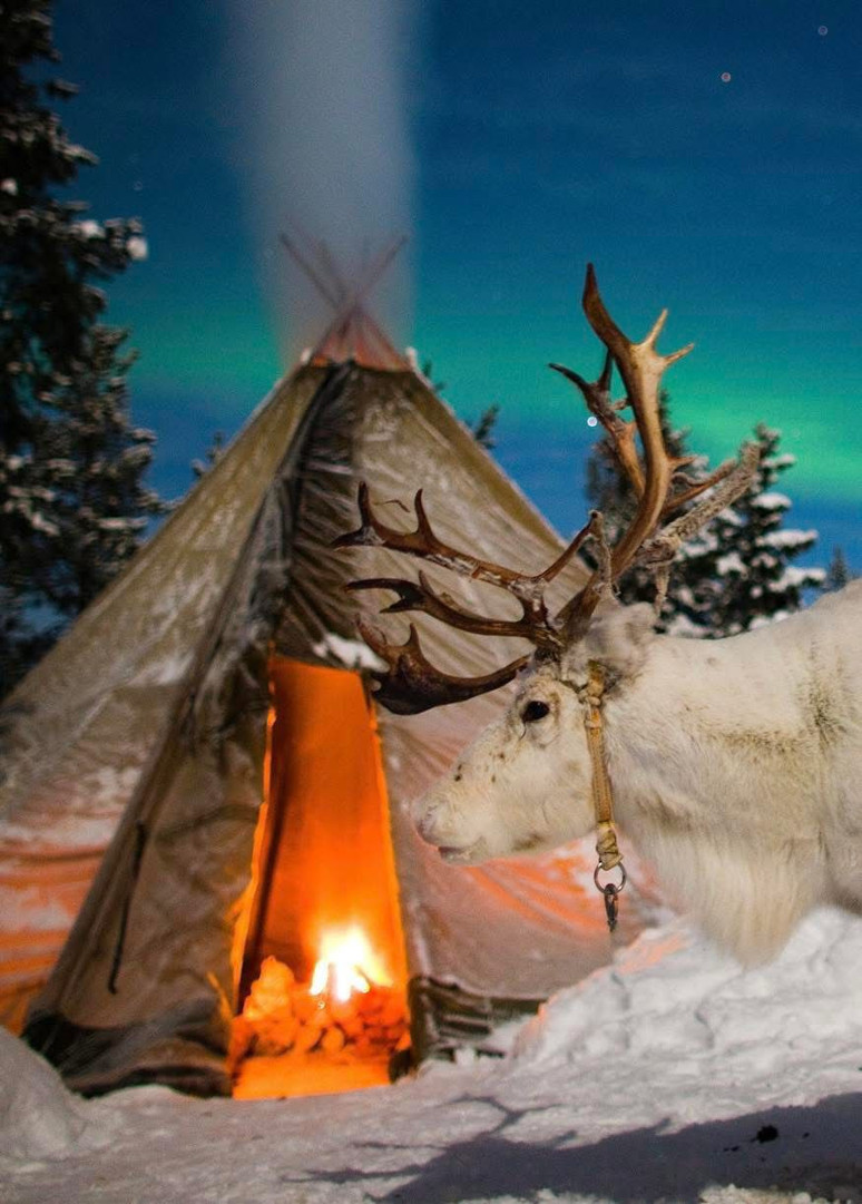 İsveç, Norveç, Finlandiya ve Rusya arasında kalan Kuzeyin üvey evlatları - Resim : 2