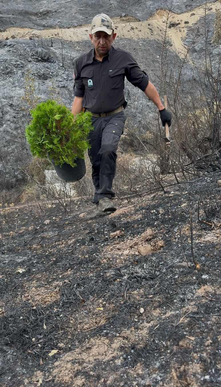 Orman yangınlarının ardından ilk fidan dikildi! Yeşil Vatan'a can suyu verildi - Resim : 1