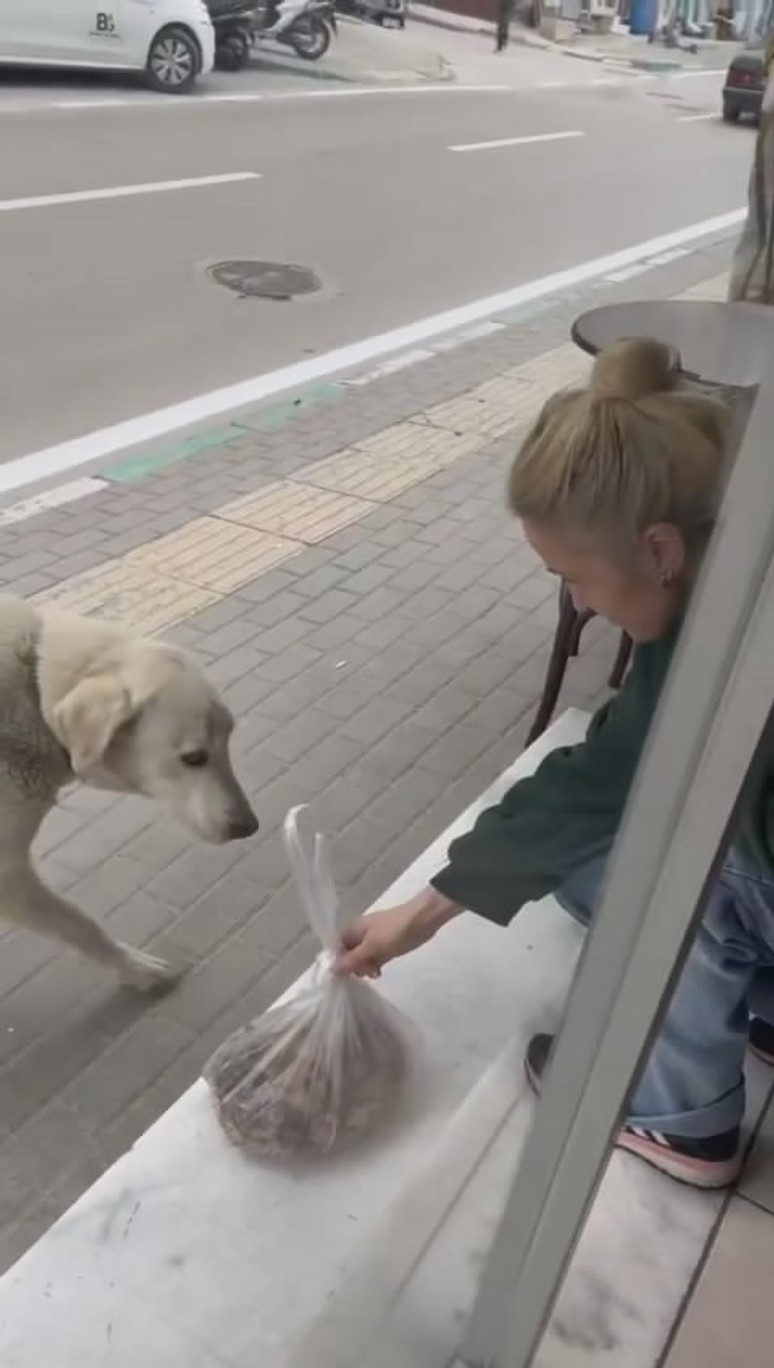 Her gün dükkana gelip payını alıyor! İşte o köpek ile esnafın güz güldüren anları... - Resim : 1