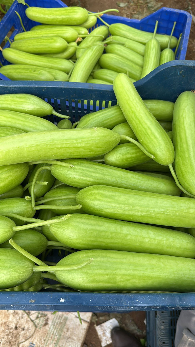 Kiev’den Türk üreticiye gümrük duvarı - Resim : 1