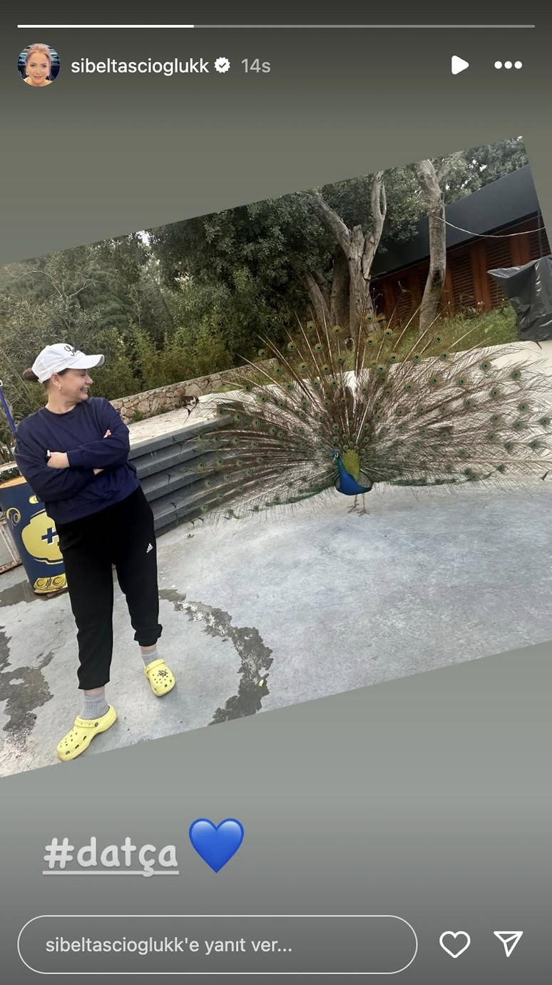 'Kızılcık Şerbeti Pembe' olarak tanınan Sibel Taşcıoğlu'nun yeni adresi belli oldu - Resim : 1