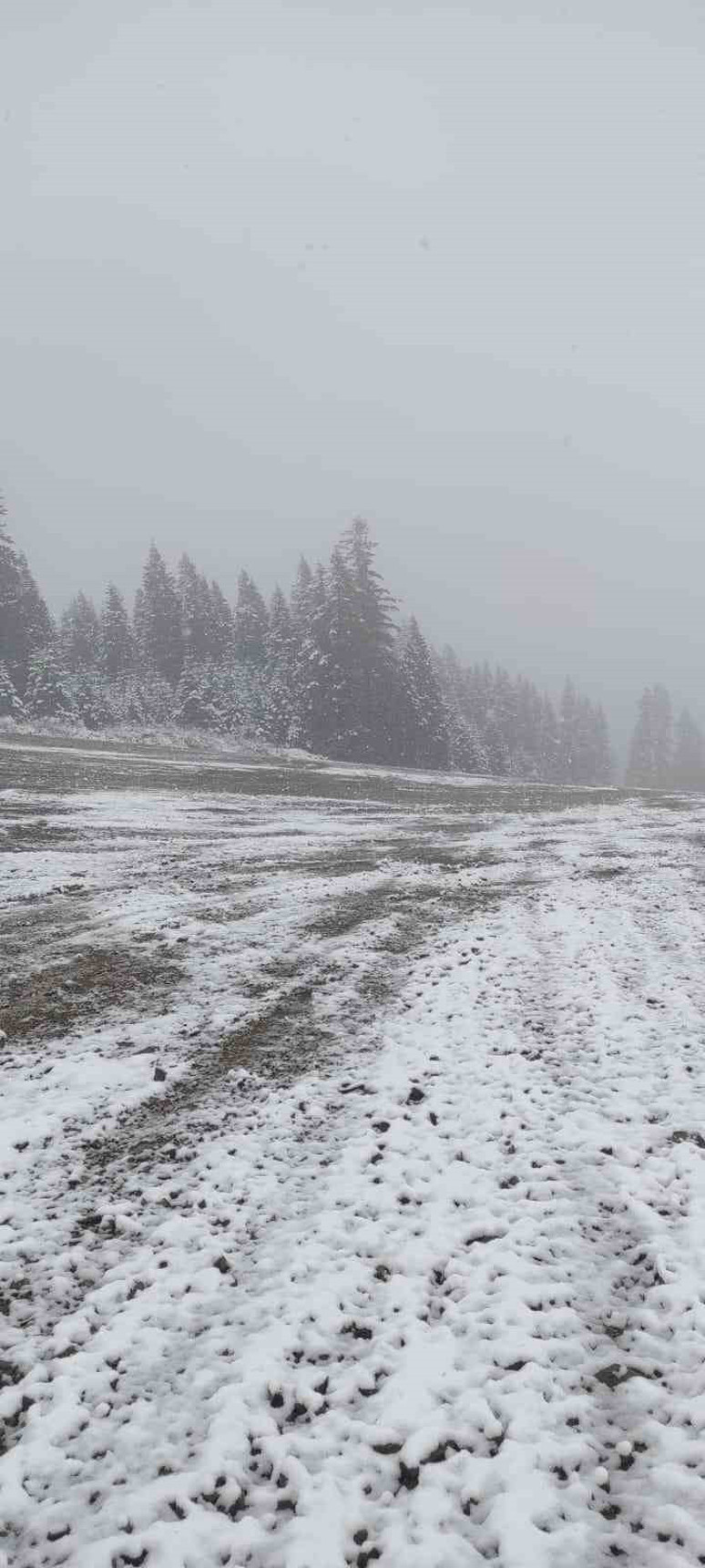 lapa lapa kar yağdı