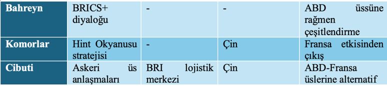 2030’a doğru, Araplar ve BRICS’in ortak gelecek stratejisi - Resim : 3