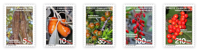 ‘PTT de doğanın tanıtımına katkı yaptı’ - Resim : 1