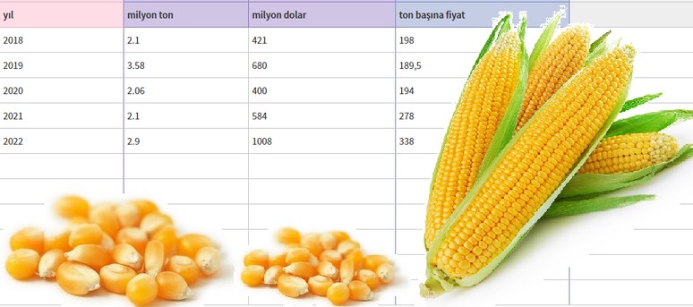 İthal mısıra 3 milyar dolar ödedik! - Resim : 1