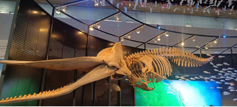 Dijital İpek Yolu’nun Üç Hattı - Resim : 12