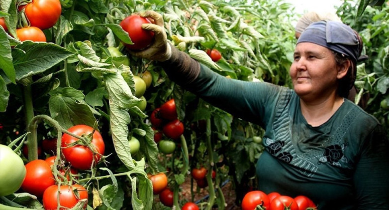 Tarım yeni başkanlardan etkili destek bekliyor! Büyükşehir Yasası maliyetleri yükseltiyor - Resim : 1
