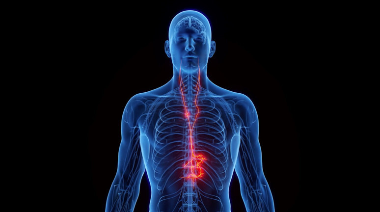 Şah damarı ameliyatı - Resim : 1