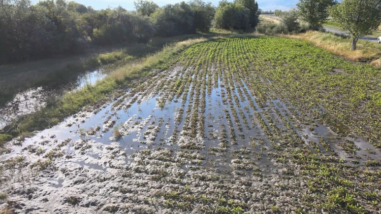 Erzincan'da çiftçilerin bir yıllık emeği sular altında kaldı! - Resim : 1