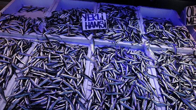 Hamsi avcılığı için kısmi durdurma kararı 7 Şubat'a kadar uzatıldı