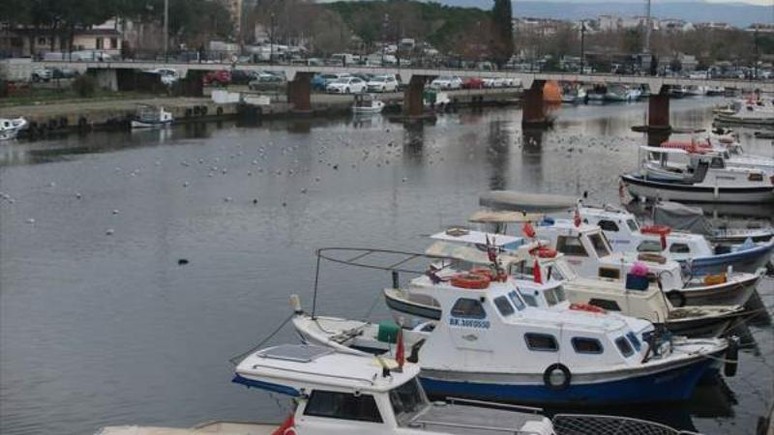 Çanakkale'deki Sarıçay'da ekolojik risk saptandı