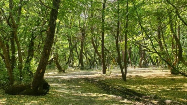 Edirne'de ormanlara giriş yasağı uzatıldı