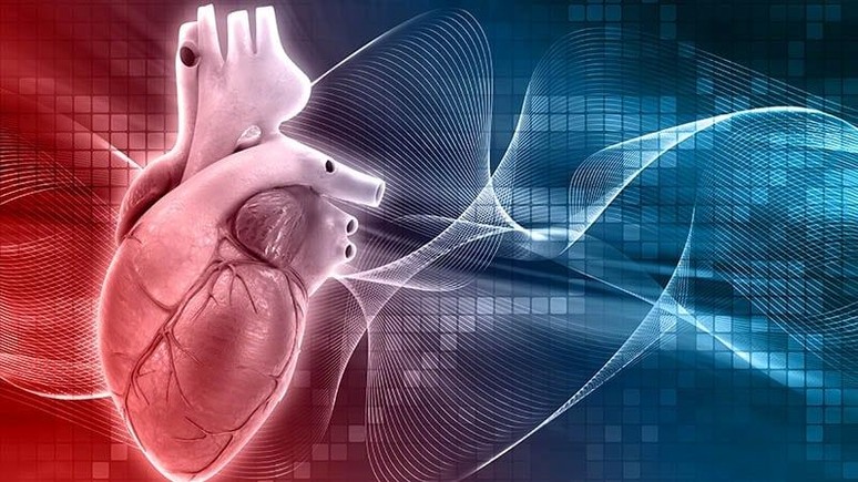Doç. Dr. Zorlutuna'dan kalp kapağı açıklaması: Bazen hiç belirti vermiyor