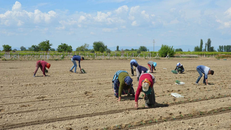 'Girdiler düşmeden gıda fiyatları inmez'