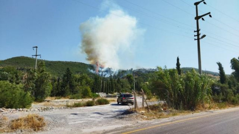 Aydın'da orman yangını: Havadan ve karadan müdahale sürüyor