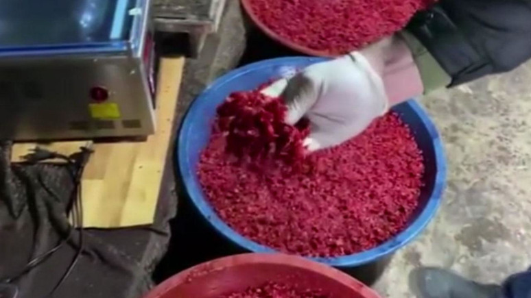 İstanbul'da dev operasyon! 7 ton 310 kilogram kaçak nargile tütünü ele geçirildi