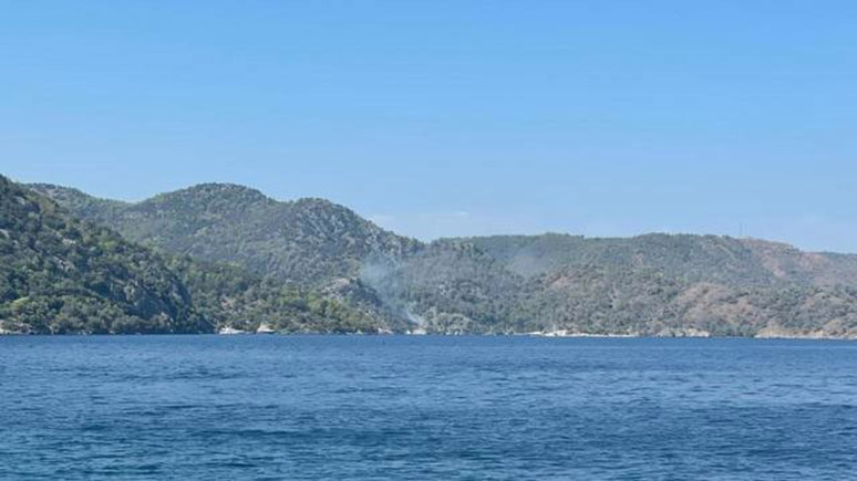 Muğla'da orman yangını