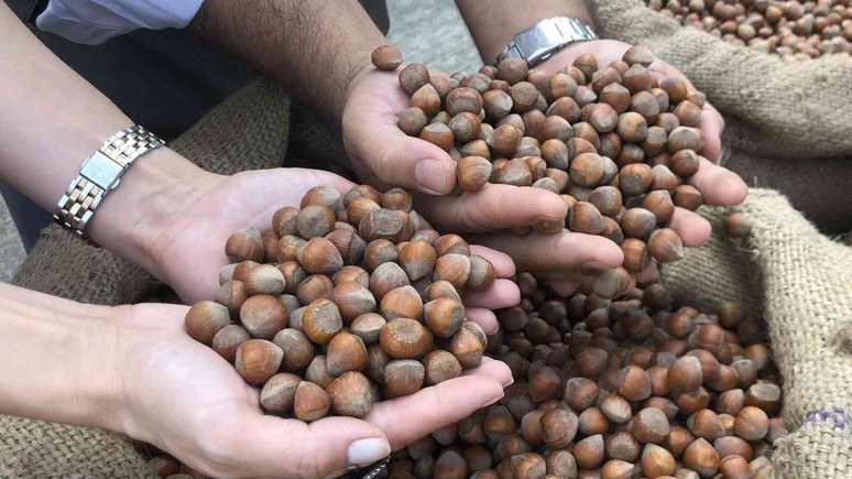 TZOB'dan Ferrero isyanı: Müstemleke değiliz!