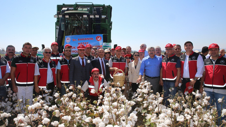 Bereketli topraklarda hasat başladı