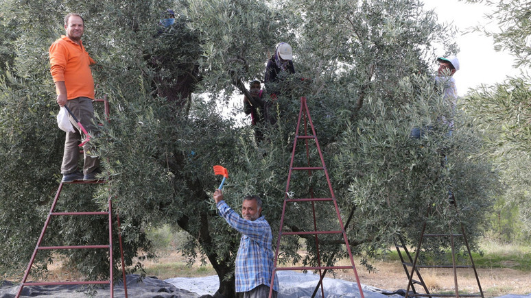 5 yılın en bereketli hasadı