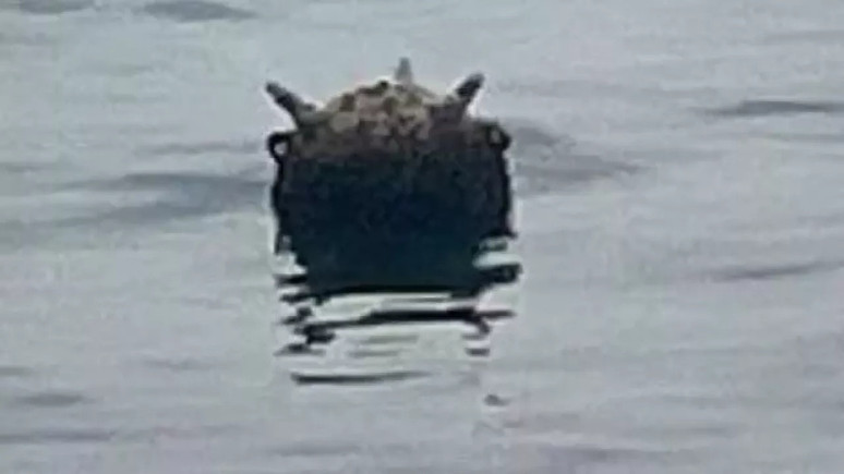 Karadeniz’de mayın!