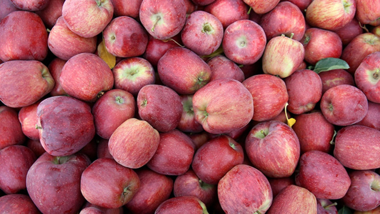 Elma markete geldi! 5 kat arttı
