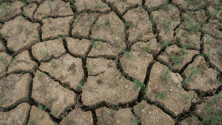 Su sorunu en fazla bu ülkelerde yaşanacak! Türkiye'nin sırası şaşırttı