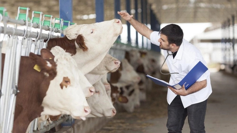 Veteriner hekimler hak ettiklerini istiyor