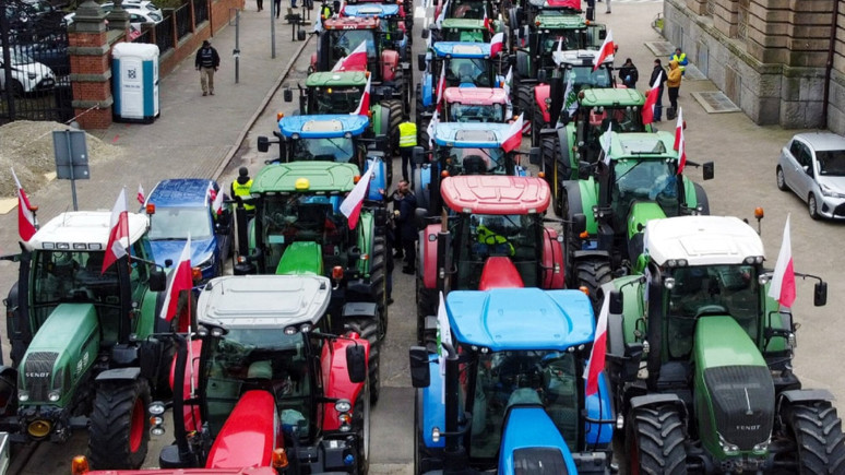 Polonyalı çiftçilerin zaferi