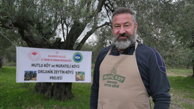 Ayvalık’ta ‘organik zeytin köyü’ projesi