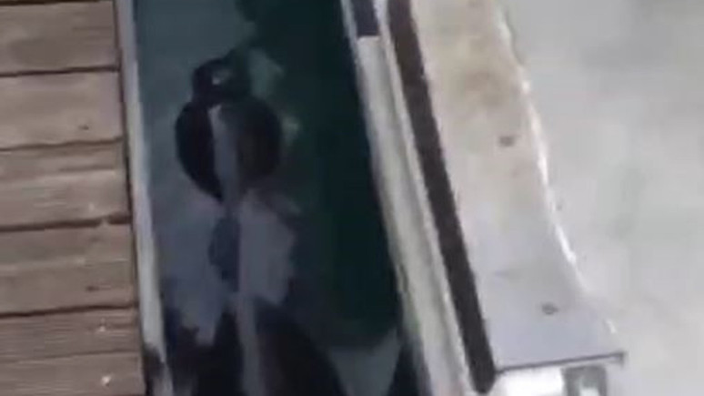 Fethiye'de ortaya çıktı! Ülkemizde pek az kişi gördü