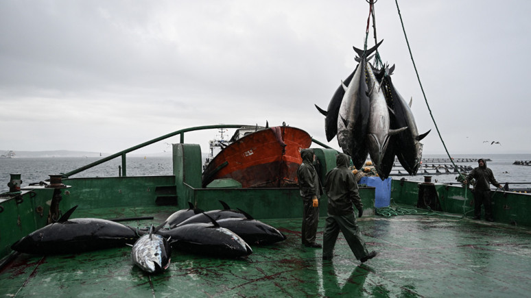 Balıkçılıkta geçen yıl 1 milyon tonla rekor kırdık