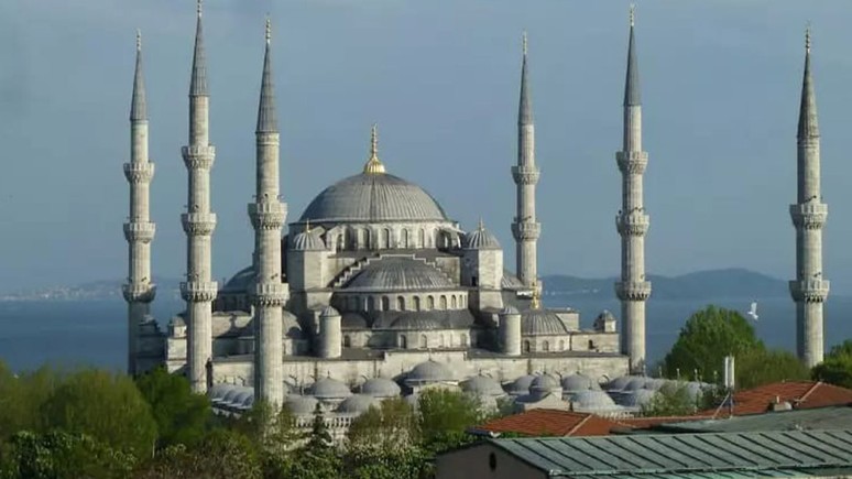 En fazla camisi olan 5 il belli oldu! Kastamonu da bu listede
