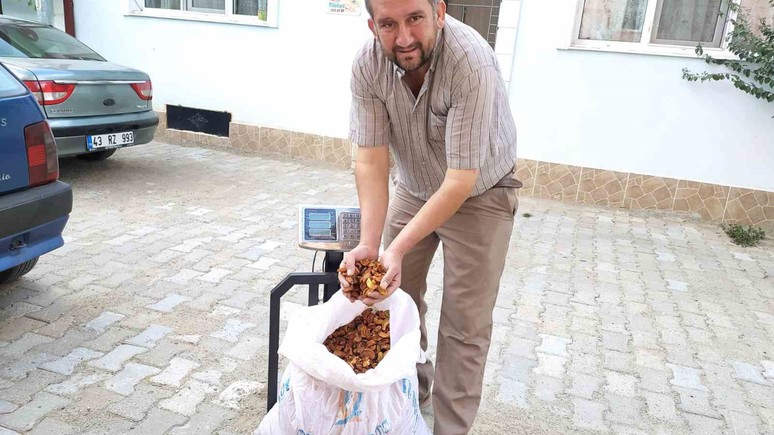 20 liradan satılıyordu! Fiyatı 35 lira oldu
